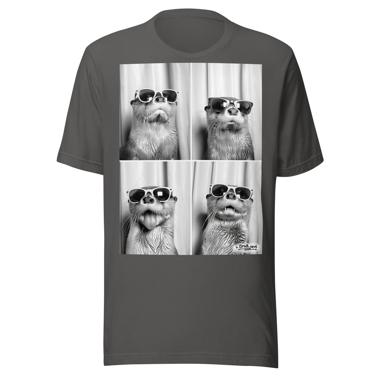 Steve & Brad Visit Brighton otter t-shirt in Asphalt